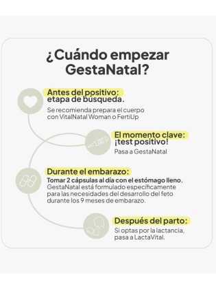 IVB GestaNatal 60 Cápsulas